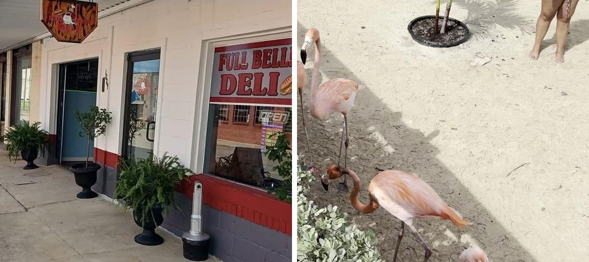 Full Bellie Deli